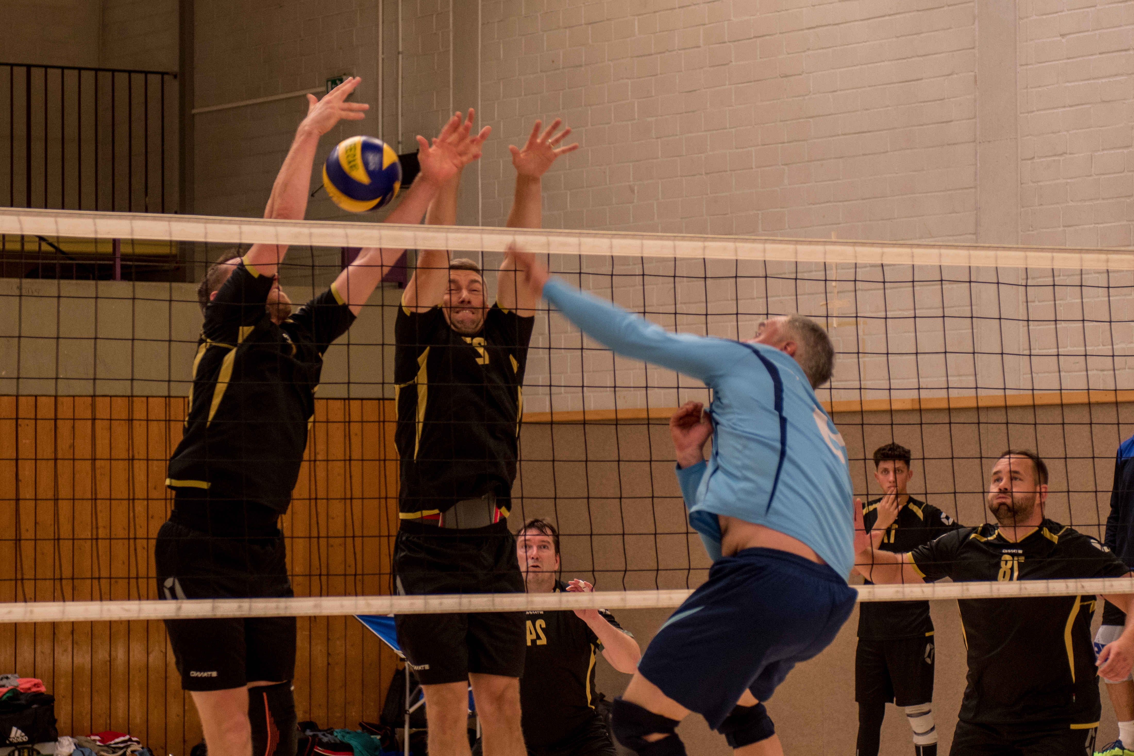 Volleyball spielen in Bremerhaven